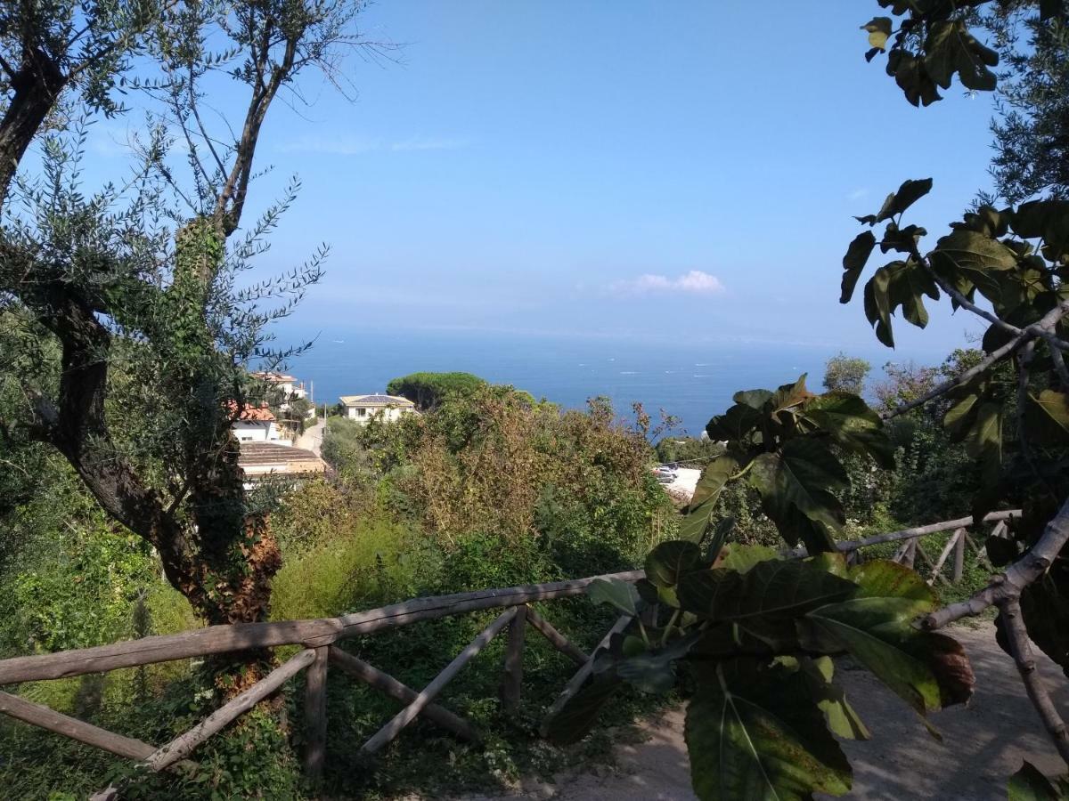 Anna Belle Elegant Agriresort Sorrento Dış mekan fotoğraf