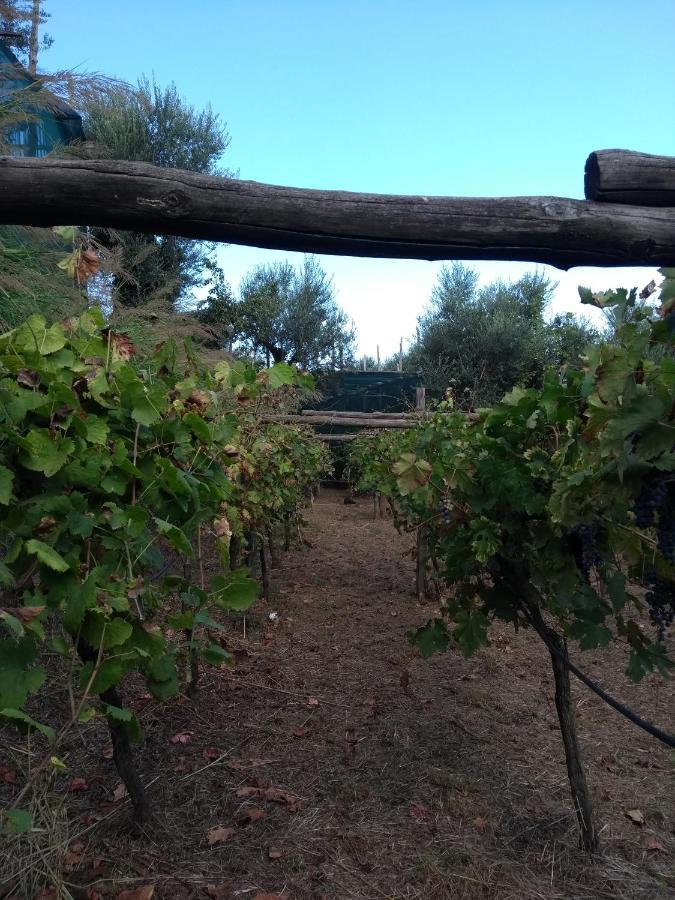Anna Belle Elegant Agriresort Sorrento Dış mekan fotoğraf
